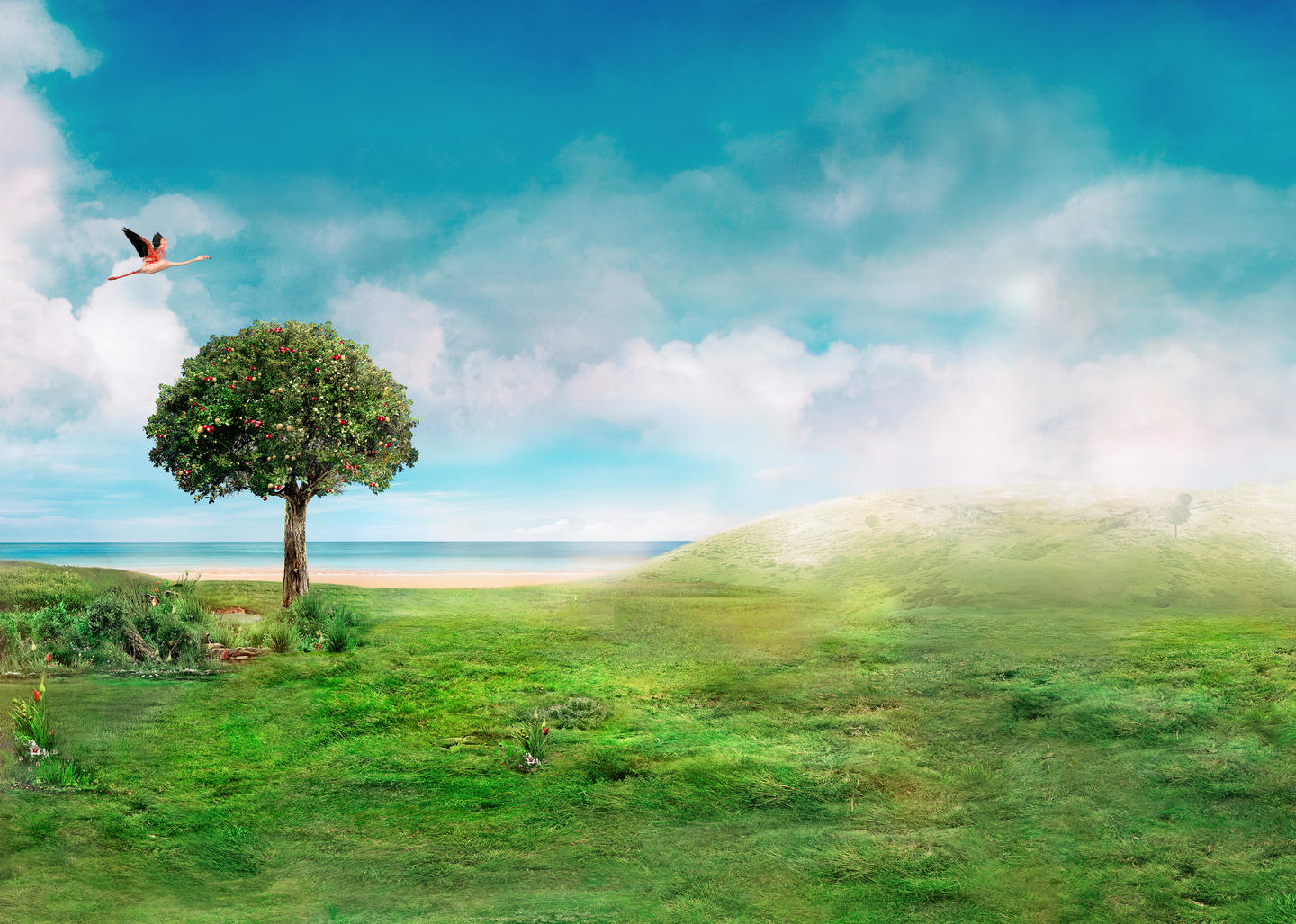 Somersby Cider Somersby Cider