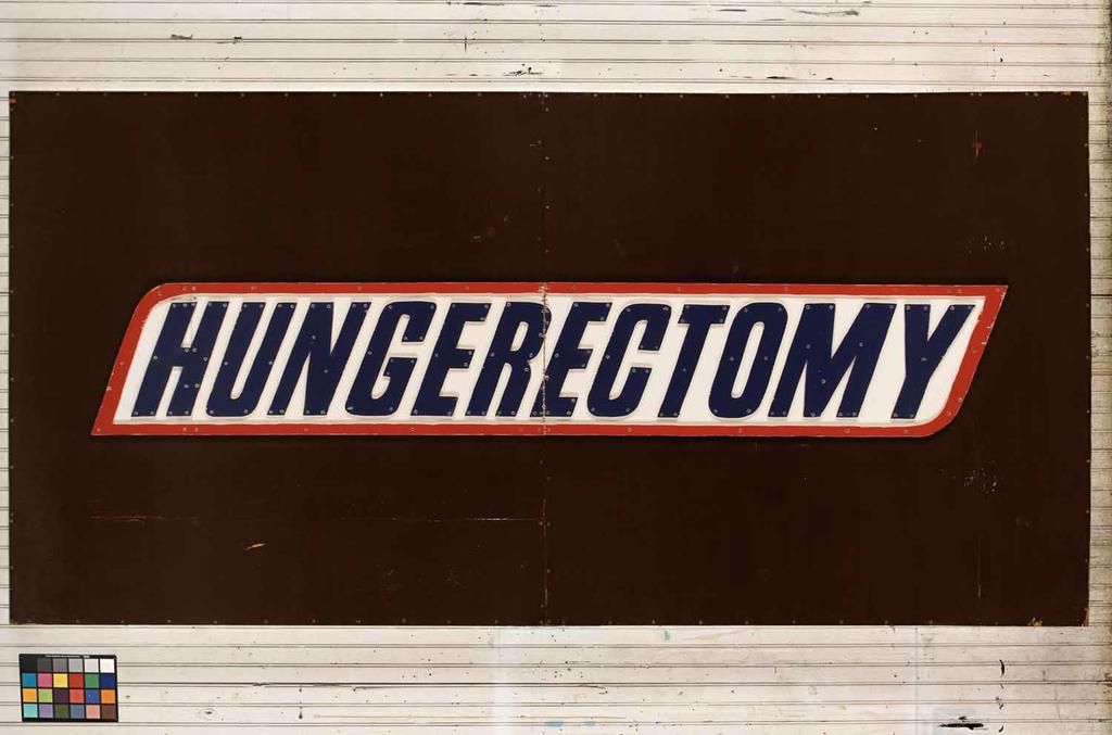 hungerectomy, 2006, synthetic polymer and epoxy resin on plywood, with steel screws, 304.8 X 152.4 X 9.5 cm hungerectomy, 2006, synthetic polymer and epoxy resin on plywood, with steel screws, 304.8 X 152.4 X 9.5 cm