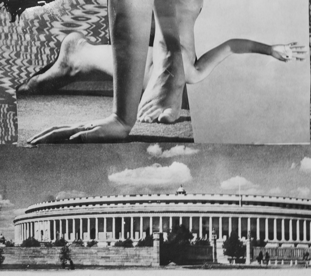 misha hollenbach pam